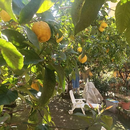 Il Giardino Nascosto Hotel Napoli Eksteriør billede