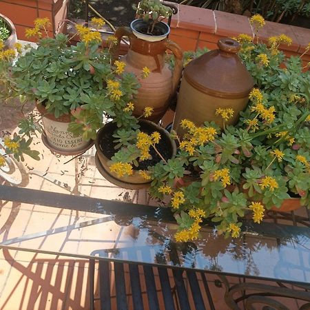 Il Giardino Nascosto Hotel Napoli Eksteriør billede