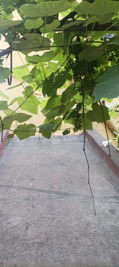 Il Giardino Nascosto Hotel Napoli Eksteriør billede