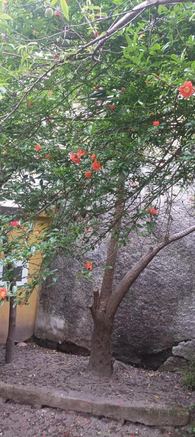 Il Giardino Nascosto Hotel Napoli Eksteriør billede