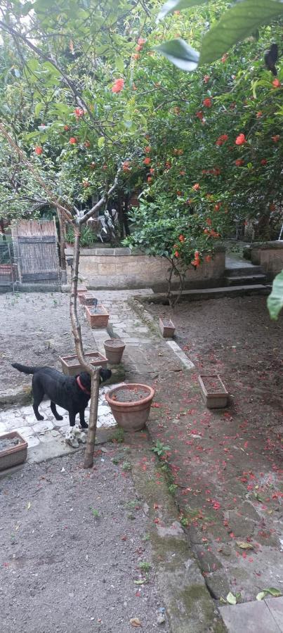 Il Giardino Nascosto Hotel Napoli Eksteriør billede