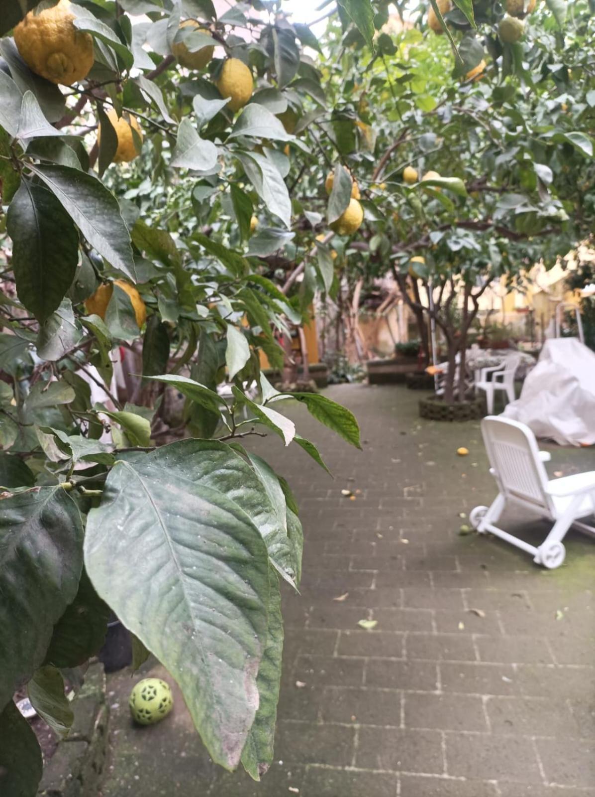 Il Giardino Nascosto Hotel Napoli Eksteriør billede