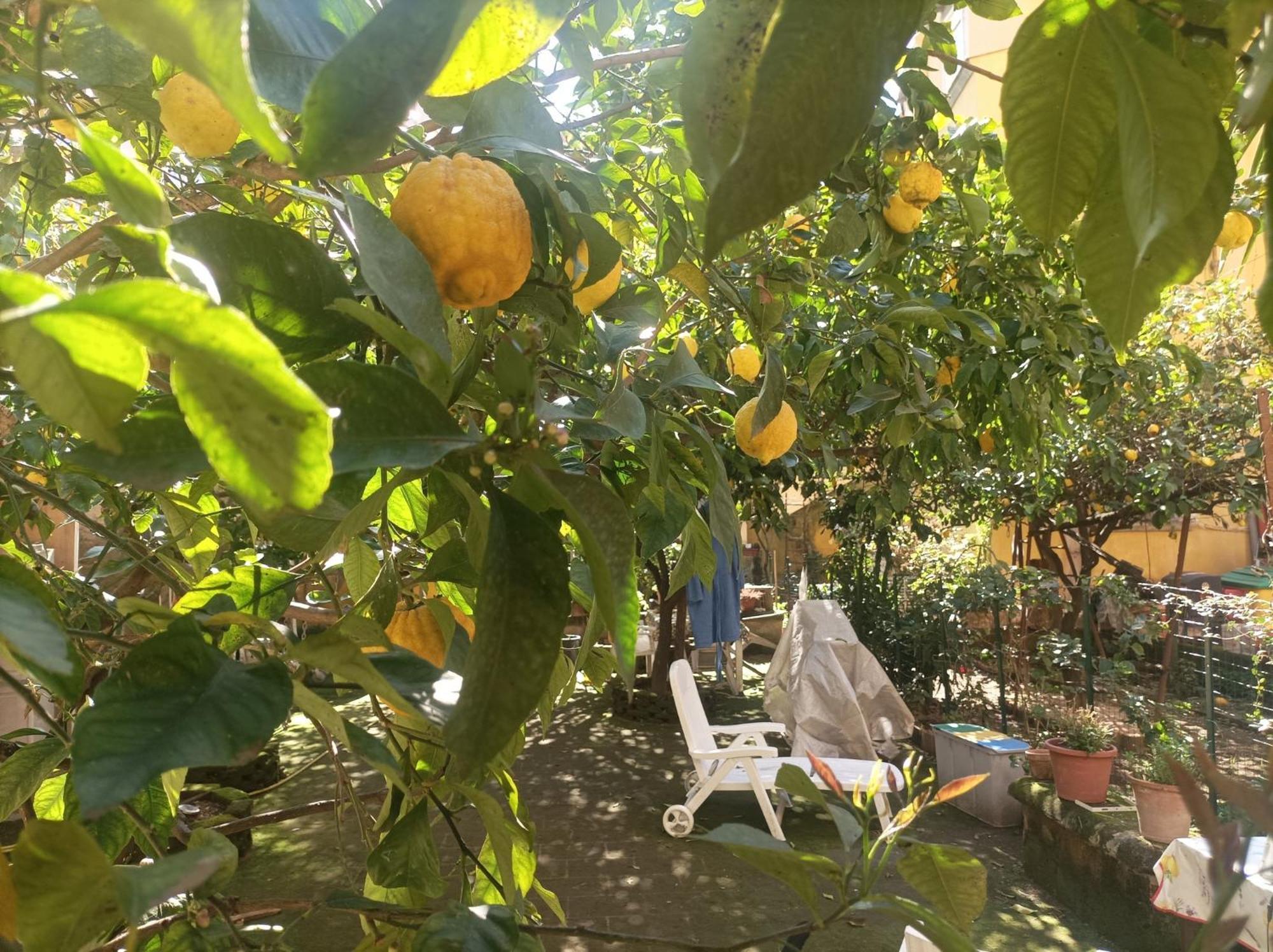 Il Giardino Nascosto Hotel Napoli Eksteriør billede