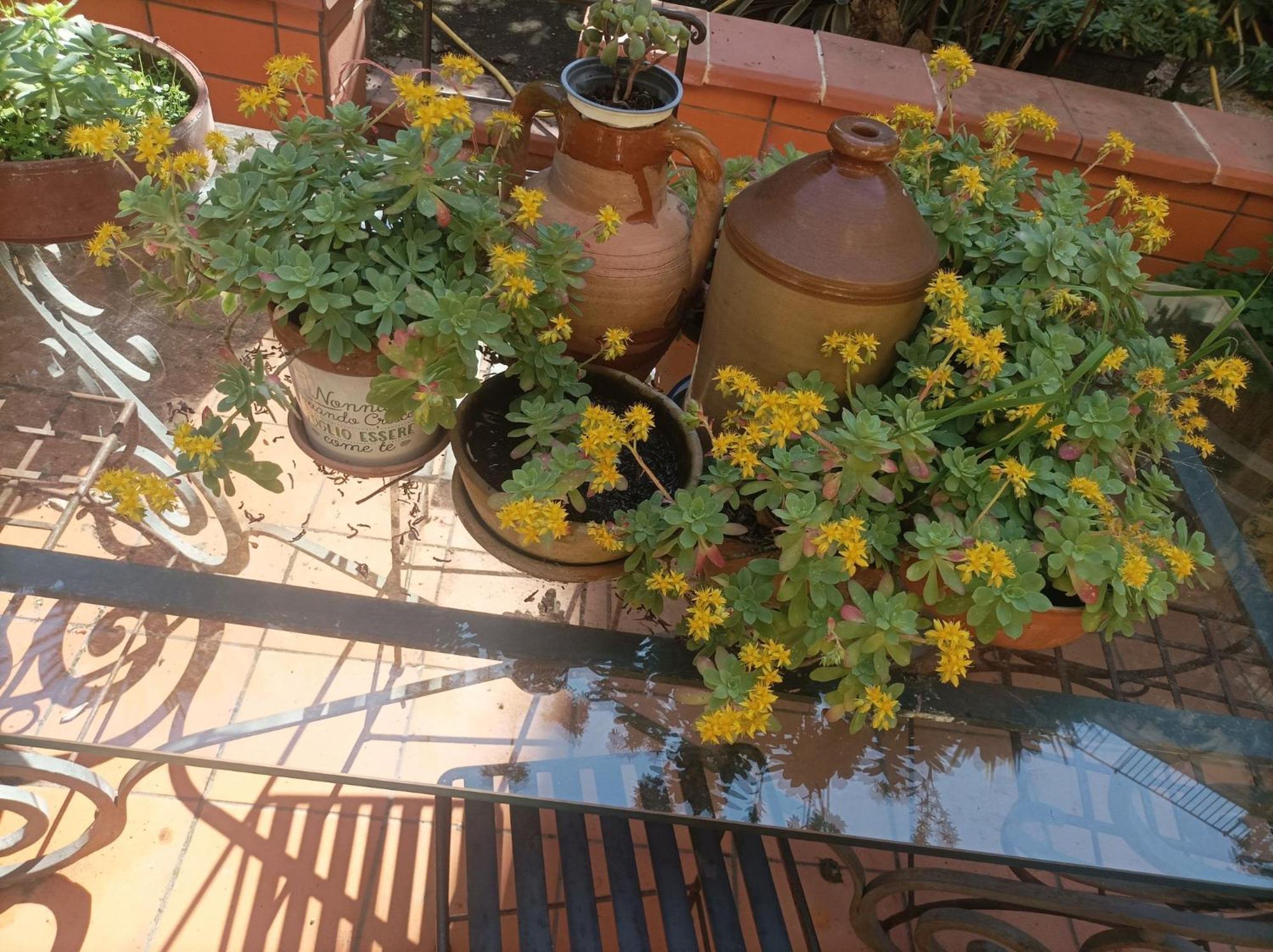 Il Giardino Nascosto Hotel Napoli Eksteriør billede