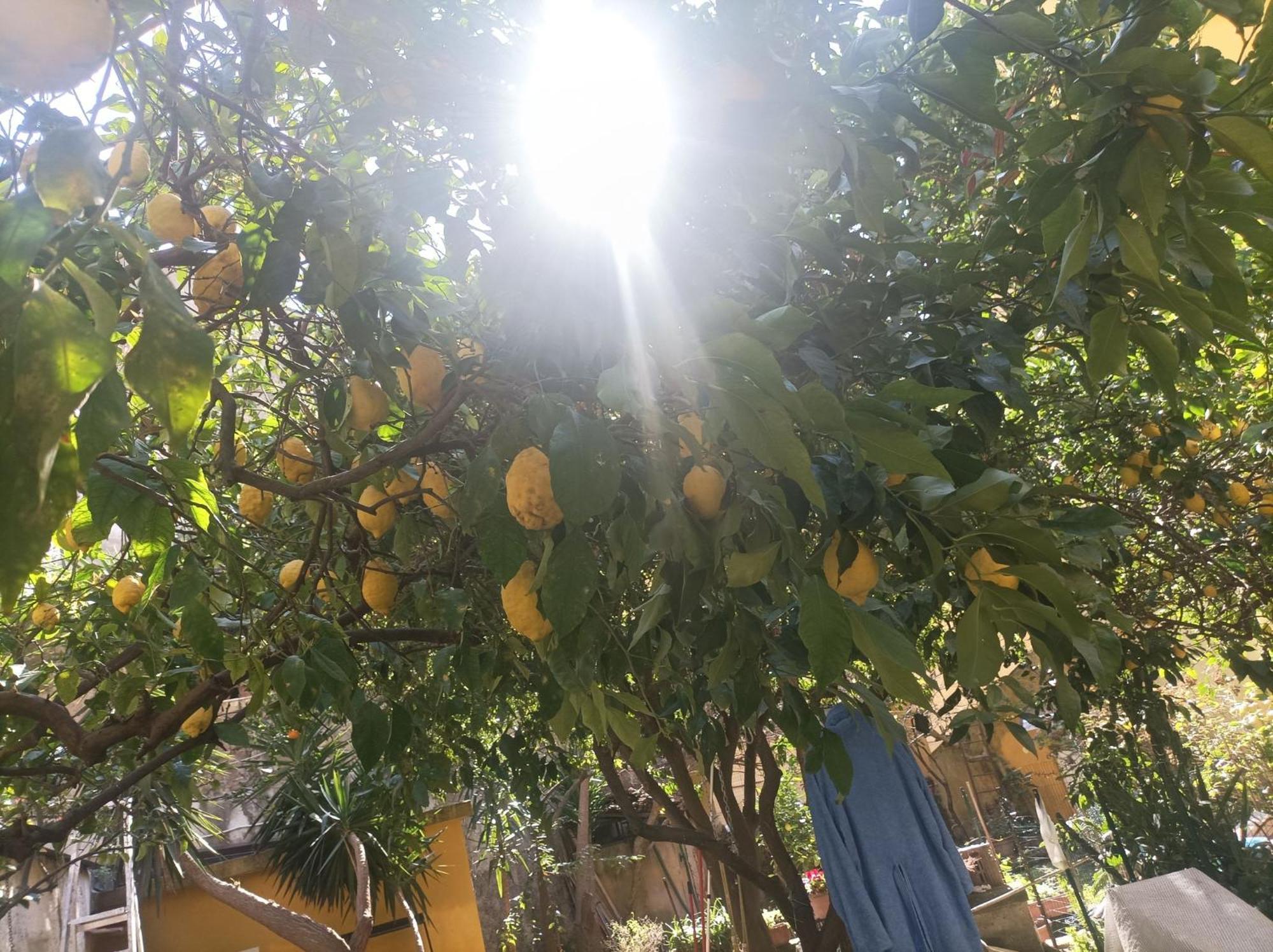 Il Giardino Nascosto Hotel Napoli Eksteriør billede